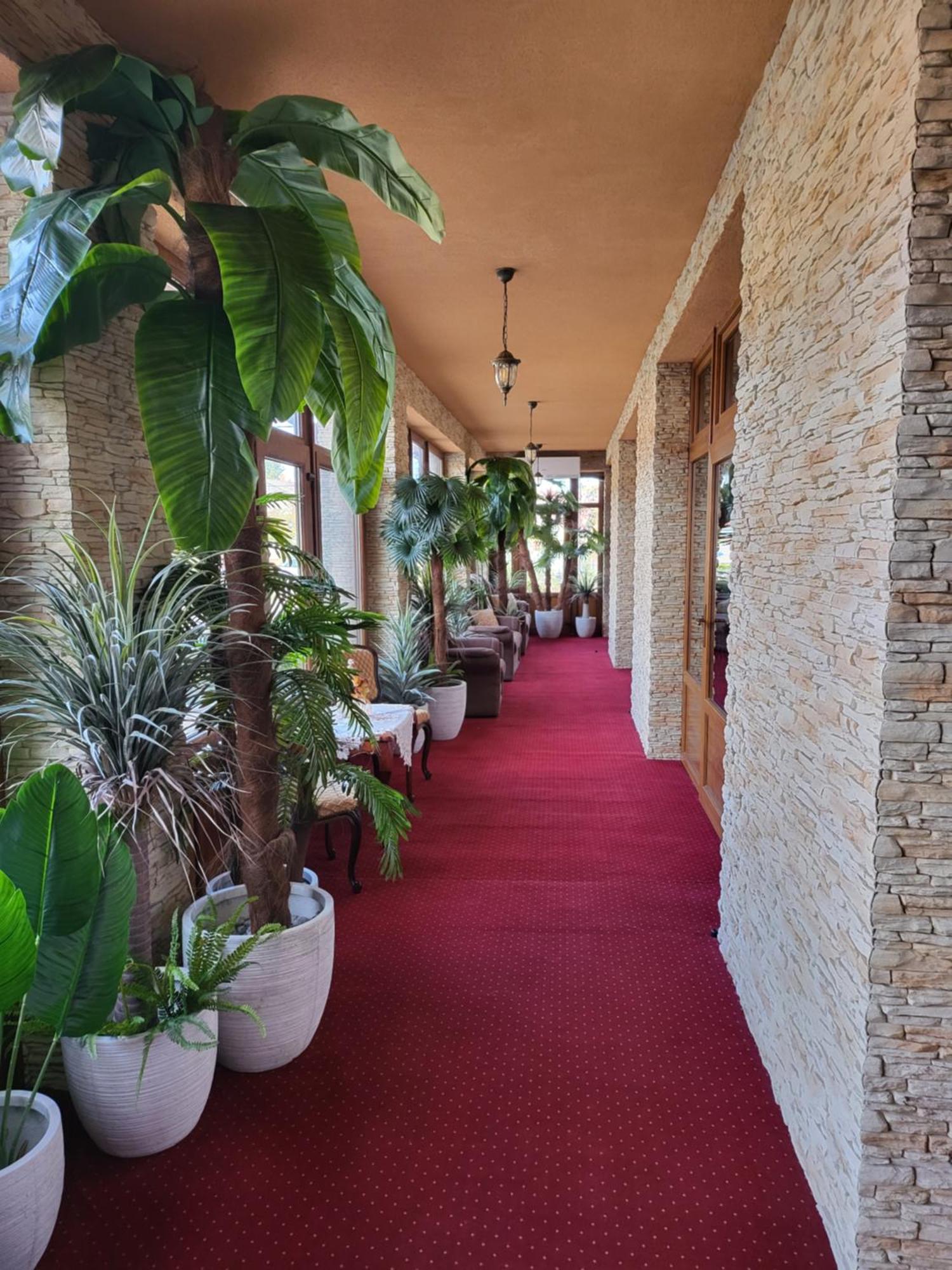 Voeroes Alom Panzio Bed & Breakfast Tiszakecske Exterior photo